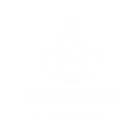 ginecolugo.es